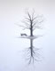 2010 Art: Reflections of a Park Bench